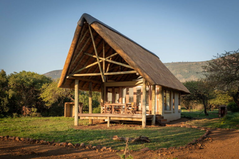 8X2A8973-1 at Royal Jozini Private Game Reserve, Lake Jozini, Eswatini